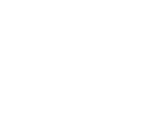 unique express footer globe shape