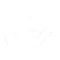 Safe Handling Icon
